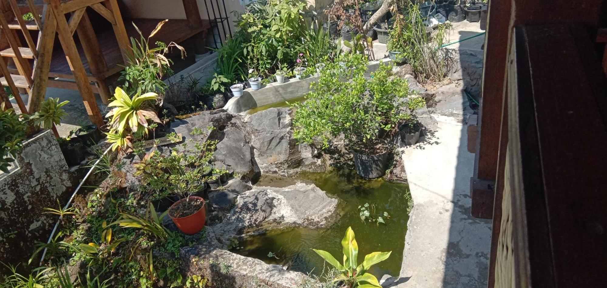 Radiya Guesthouse 塞姆博伦拉旺 外观 照片